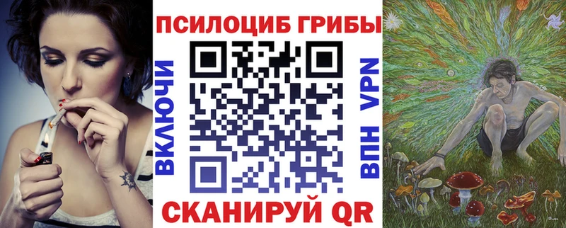 Псилоцибиновые грибы мухоморы  Купить  Заводоуковск 